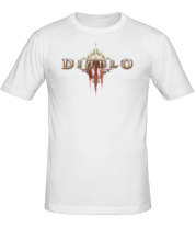 Мужская футболка Diablo 3