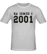 Мужская футболка На земле с 2001 фото