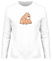 Мужская футболка длинный рукав Sweet bear фото