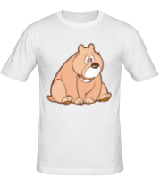 Мужская футболка Sweet bear фото