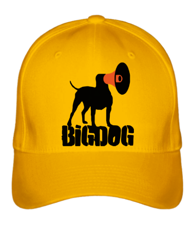 Бейсболка Bigdog