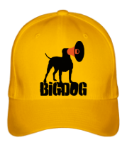 Бейсболка Bigdog фото