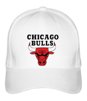 Бейсболка Chicago Bulls фото