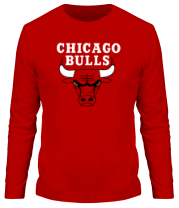 Мужская футболка длинный рукав Chicago Bulls фото