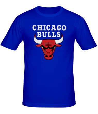 Мужская футболка Chicago Bulls