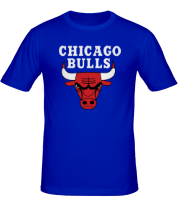 Мужская футболка Chicago Bulls фото