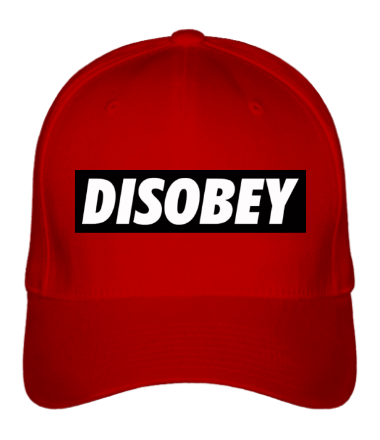 Бейсболка Disobey