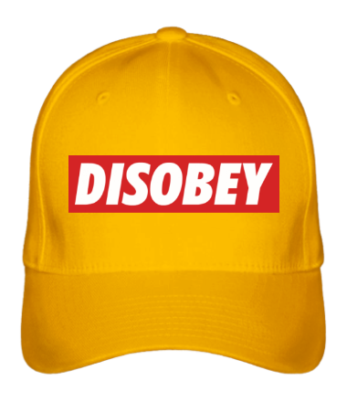 Бейсболка Disobey