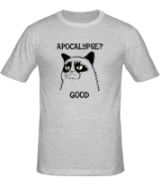 Мужская футболка Apocalypse? good (Апокалипсис? хорошо) фото